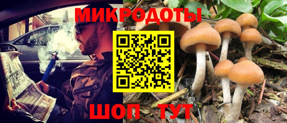 Галлюциногенные грибы Psilocybine cubensis Бузулук